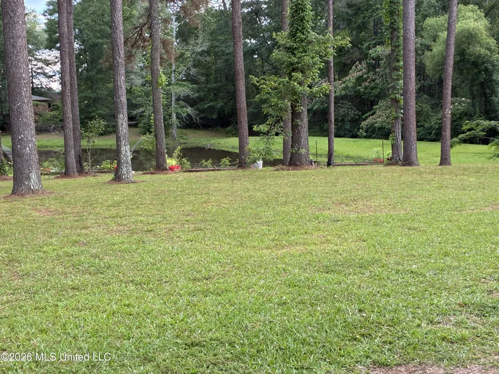 367 Highway 44 Jayess, MS 39641