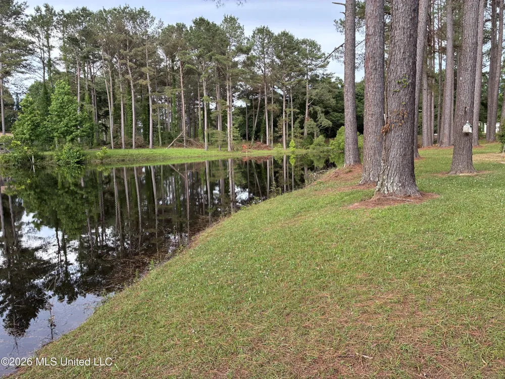 367 Highway 44 Jayess, MS 39641
