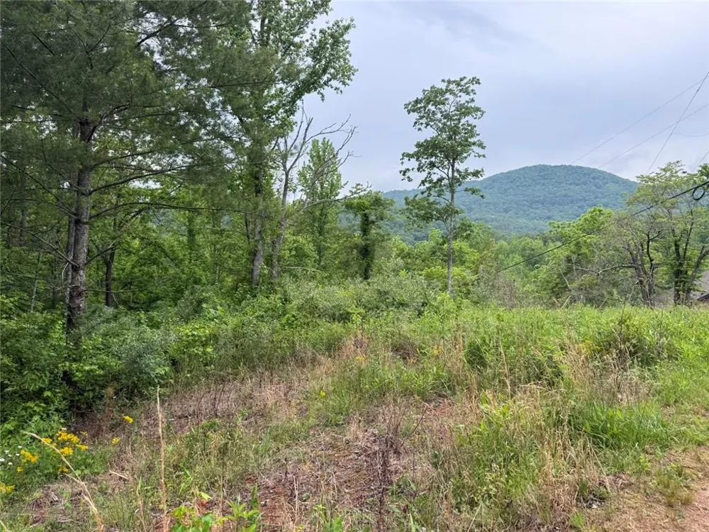 Lot 7D Meadow View Lane Cleveland, GA 30528