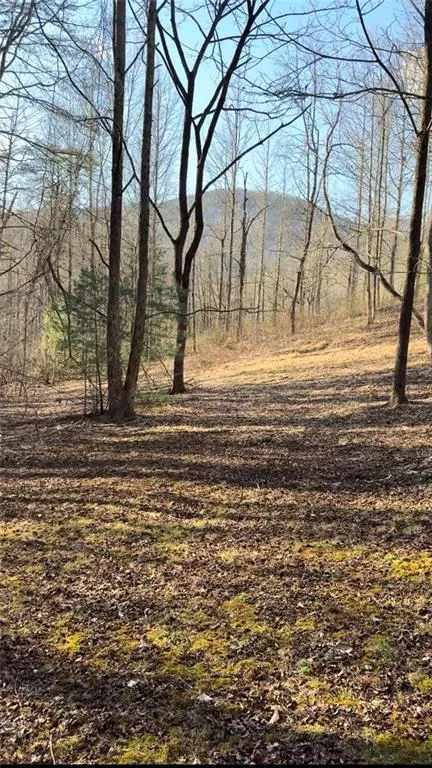 Lot 7D Meadow View Lane Cleveland, GA 30528