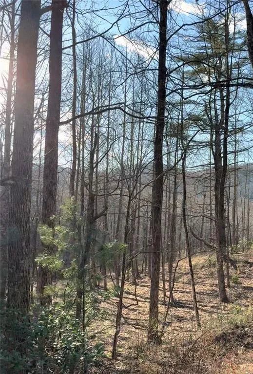 Lot 7D Meadow View Lane Cleveland, GA 30528