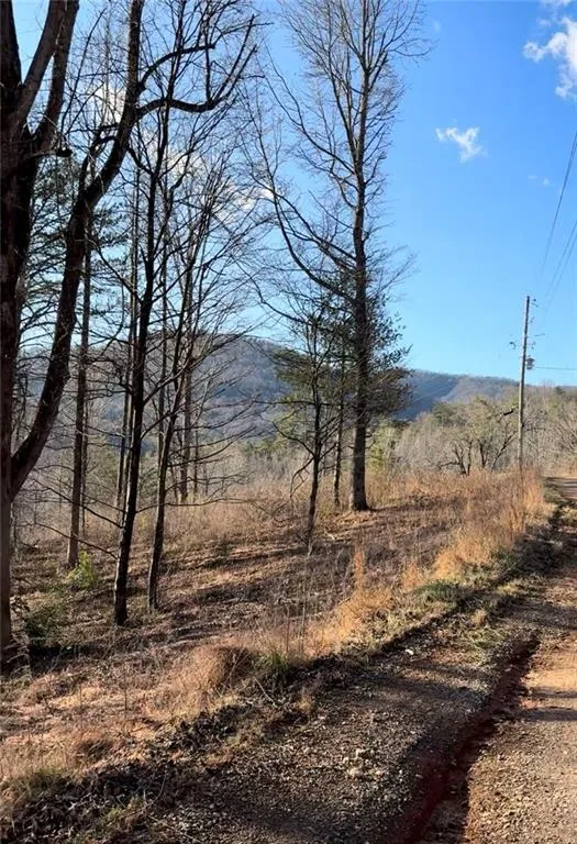 Lot 7D Meadow View Lane Cleveland, GA 30528