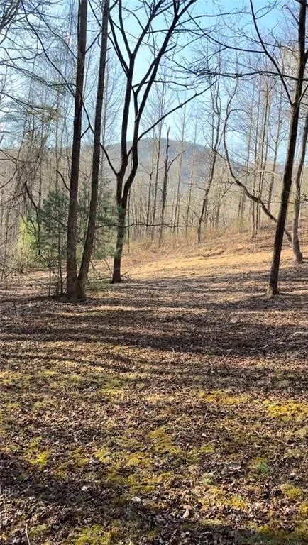 Lot 7D Meadow View Lane Cleveland, GA 30528