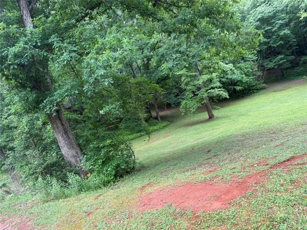 Lot 7D Meadow View Lane Cleveland, GA 30528