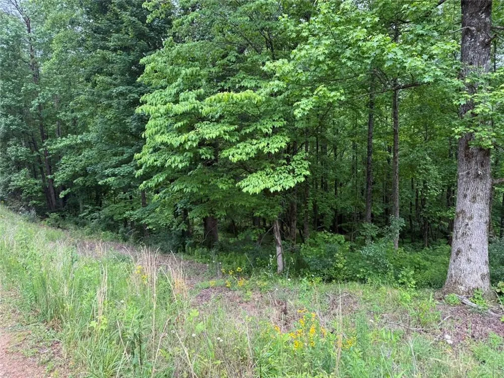 Lot 7D Meadow View Lane Cleveland, GA 30528