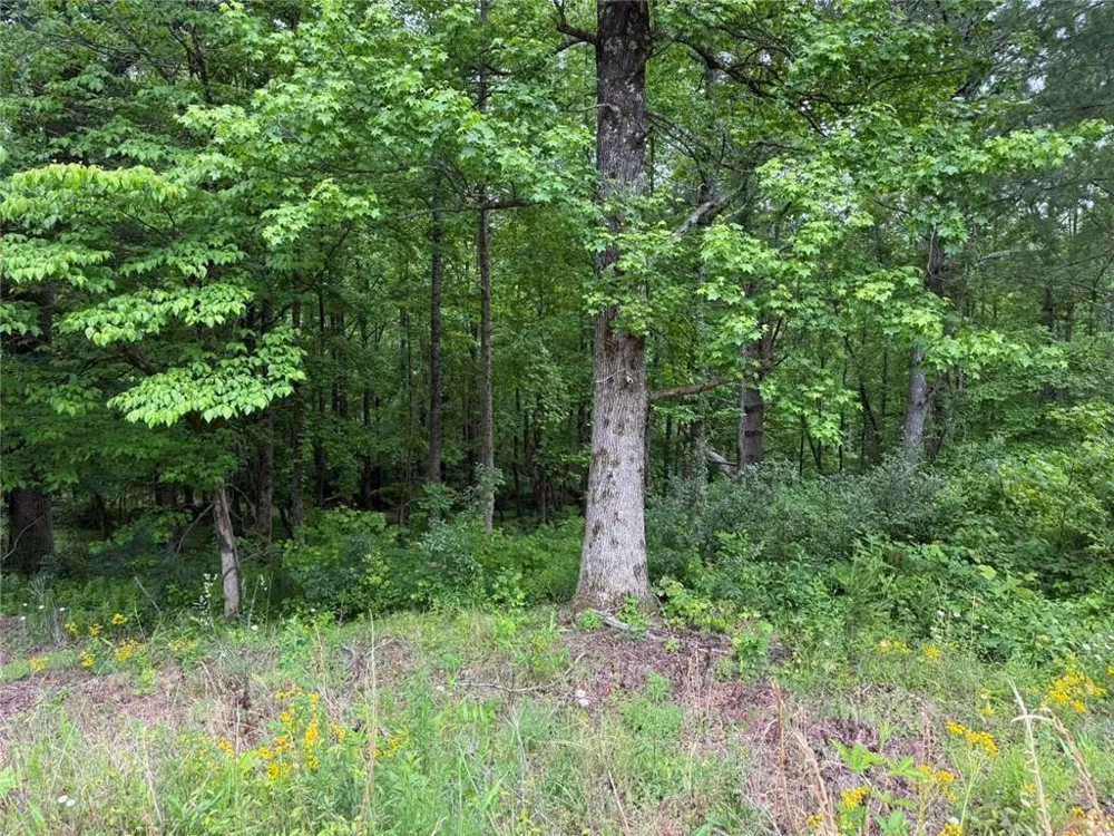 Lot 7D Meadow View Lane Cleveland, GA 30528