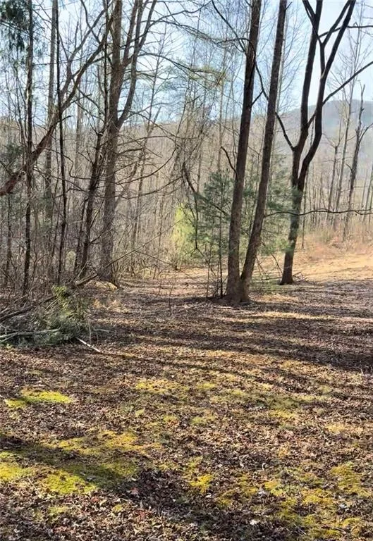 Lot 7D Meadow View Lane Cleveland, GA 30528