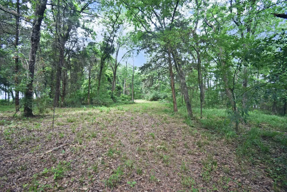 Bois D Yantis, TX 75497