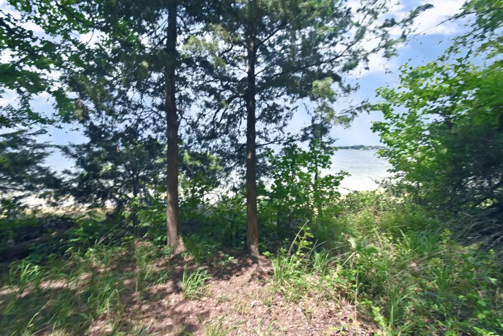 Bois D Yantis, TX 75497