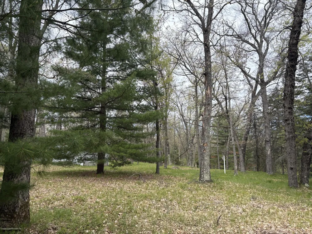 3217 W Maringo Pass Webber Township, MI 49304