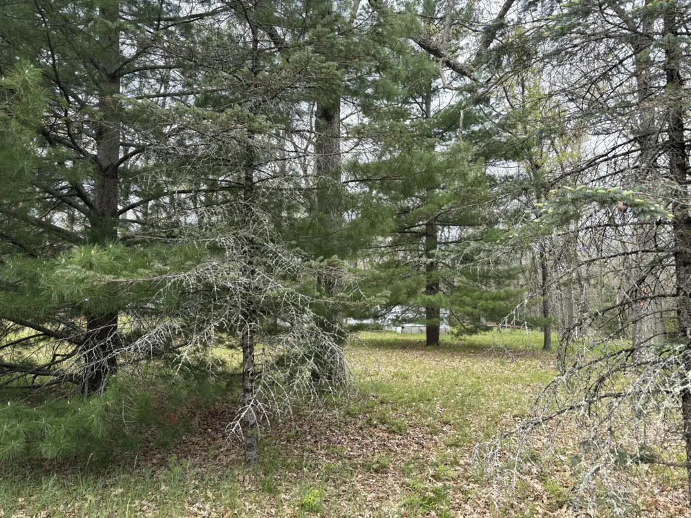 3217 W Maringo Pass Webber Township, MI 49304