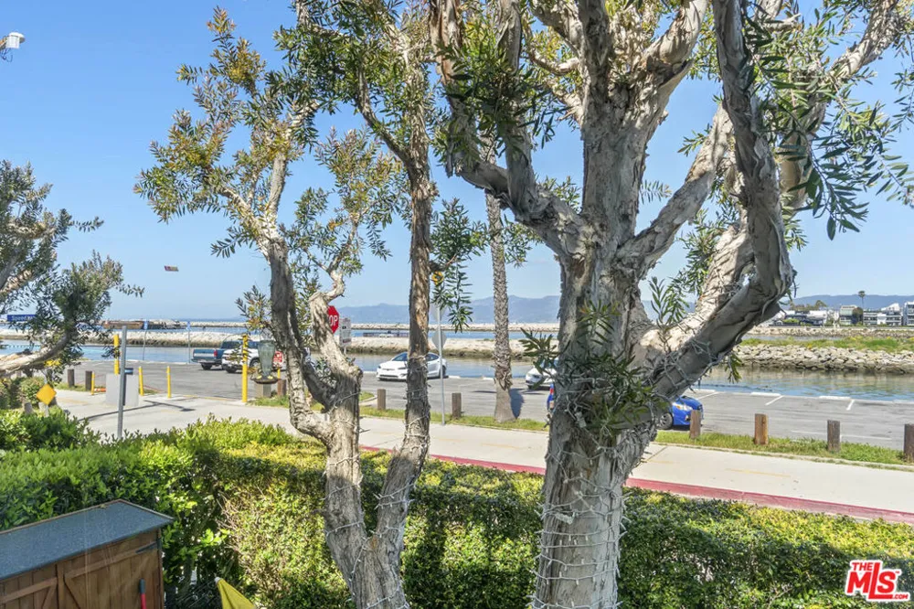 6209 Pacific Avenue #103 Playa del Rey, CA 90293