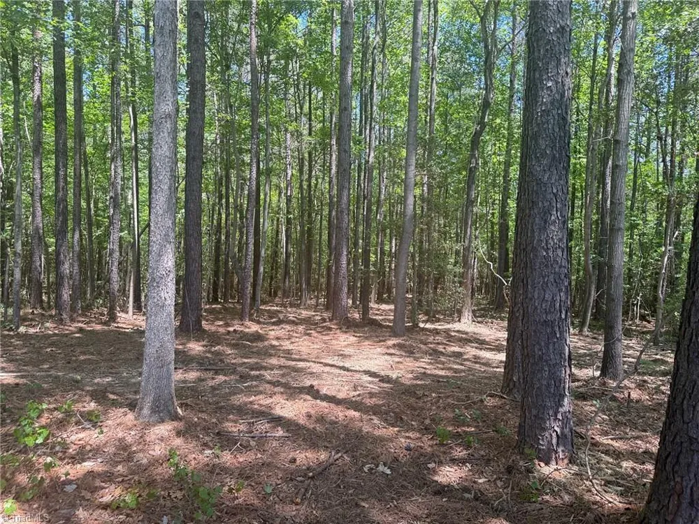 Lot 15 Willie Road Seagrove, NC 27341