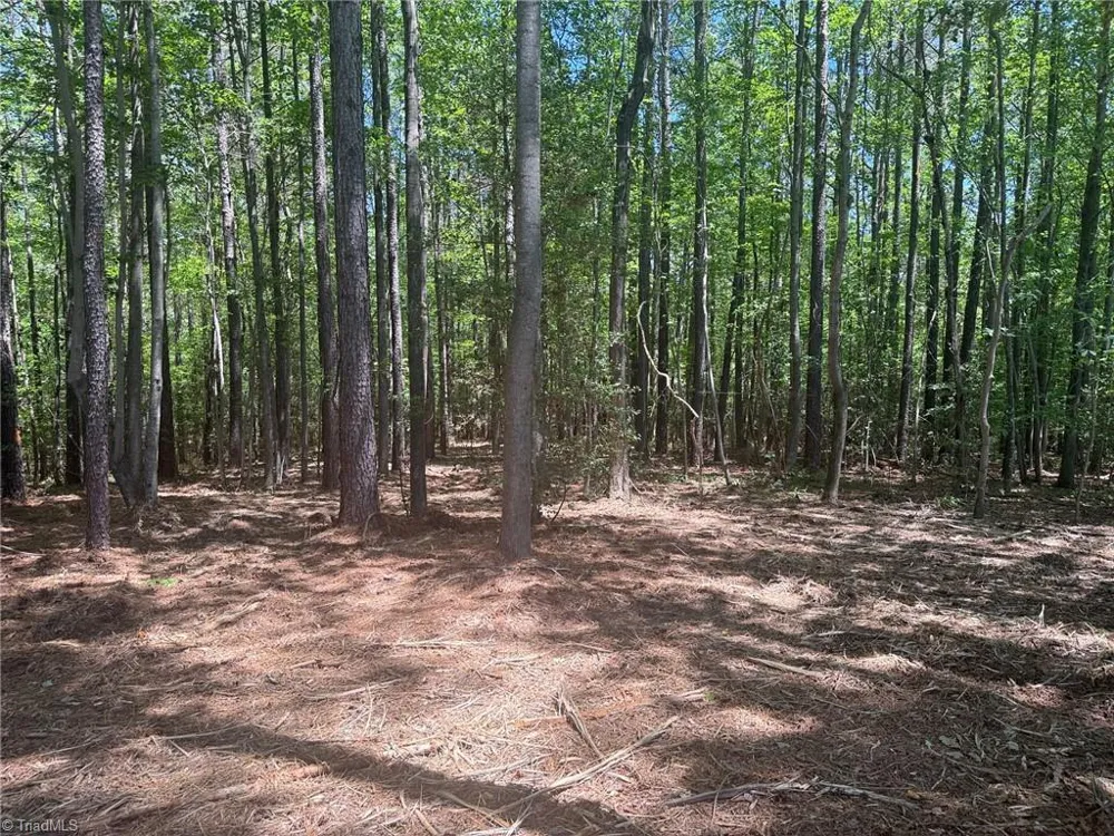 Lot 15 Willie Road Seagrove, NC 27341