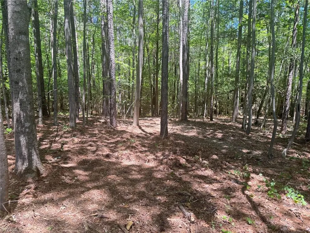 Lot 15 Willie Road Seagrove, NC 27341