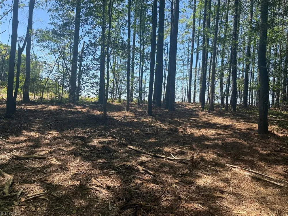Lot 15 Willie Road Seagrove, NC 27341