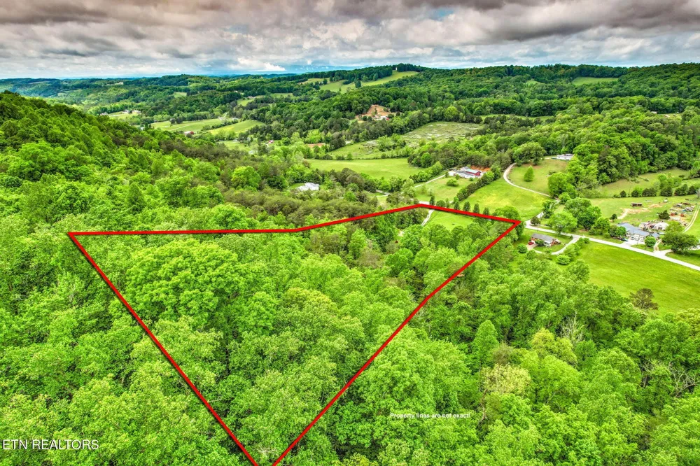 235 Raccoon Valley Rd Maynardville, TN 37807