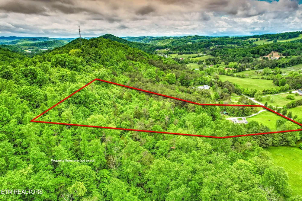 235 Raccoon Valley Rd Maynardville, TN 37807