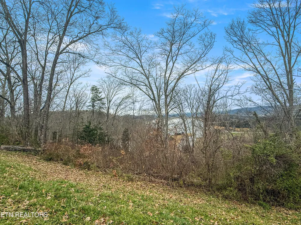 2025 Turner Landing Rd Russellville, TN 37860