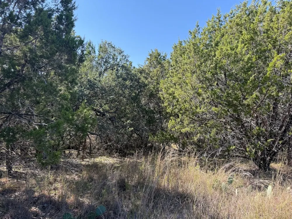 10037 Drew Drop Horseshoe Bay, TX 78657