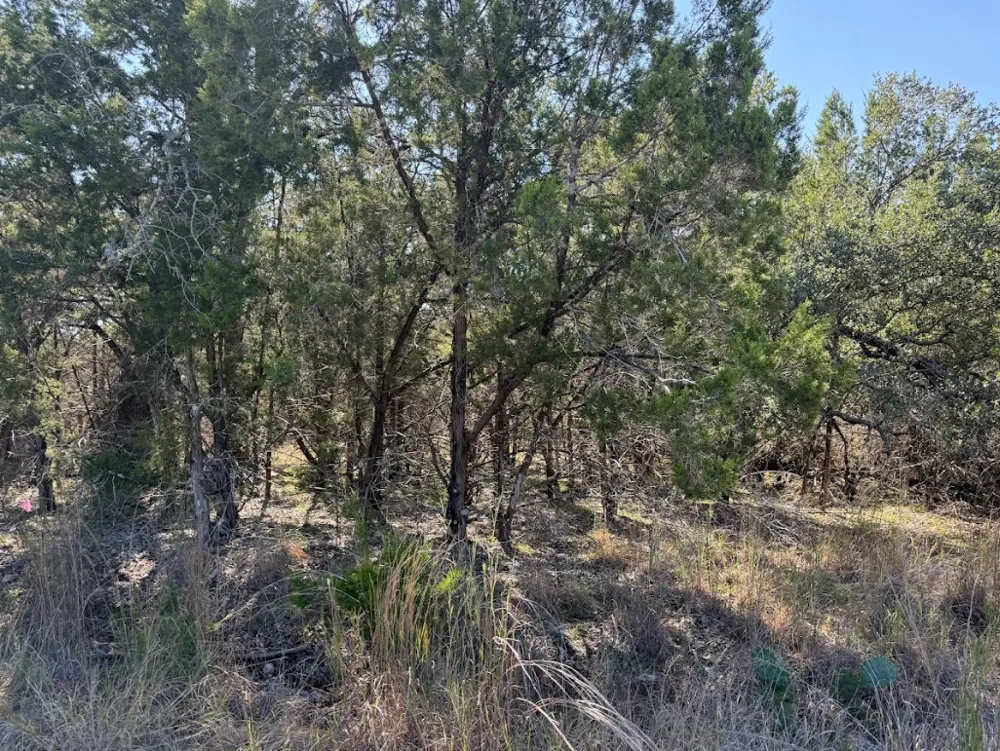 10037 Drew Drop Horseshoe Bay, TX 78657