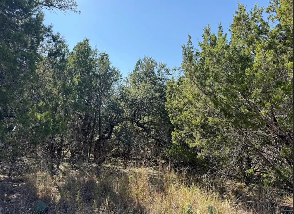 10037 Drew Drop Horseshoe Bay, TX 78657