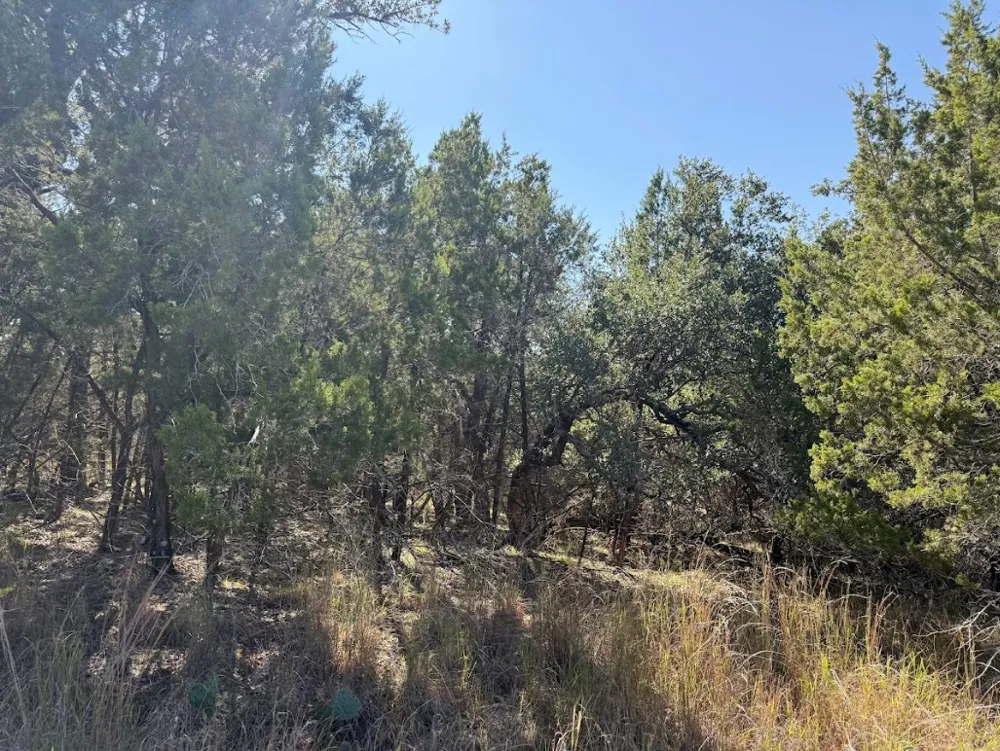 10037 Drew Drop Horseshoe Bay, TX 78657