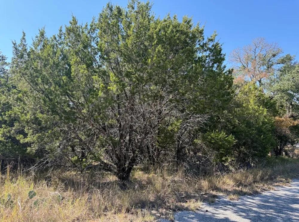 10037 Drew Drop Horseshoe Bay, TX 78657