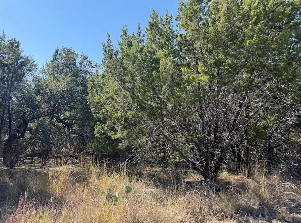 10037 Drew Drop Horseshoe Bay, TX 78657