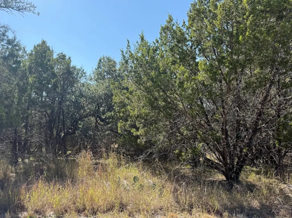 10037 Drew Drop Horseshoe Bay, TX 78657