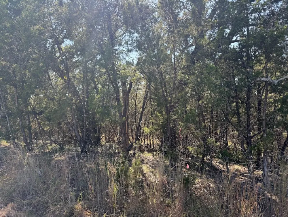 10037 Drew Drop Horseshoe Bay, TX 78657
