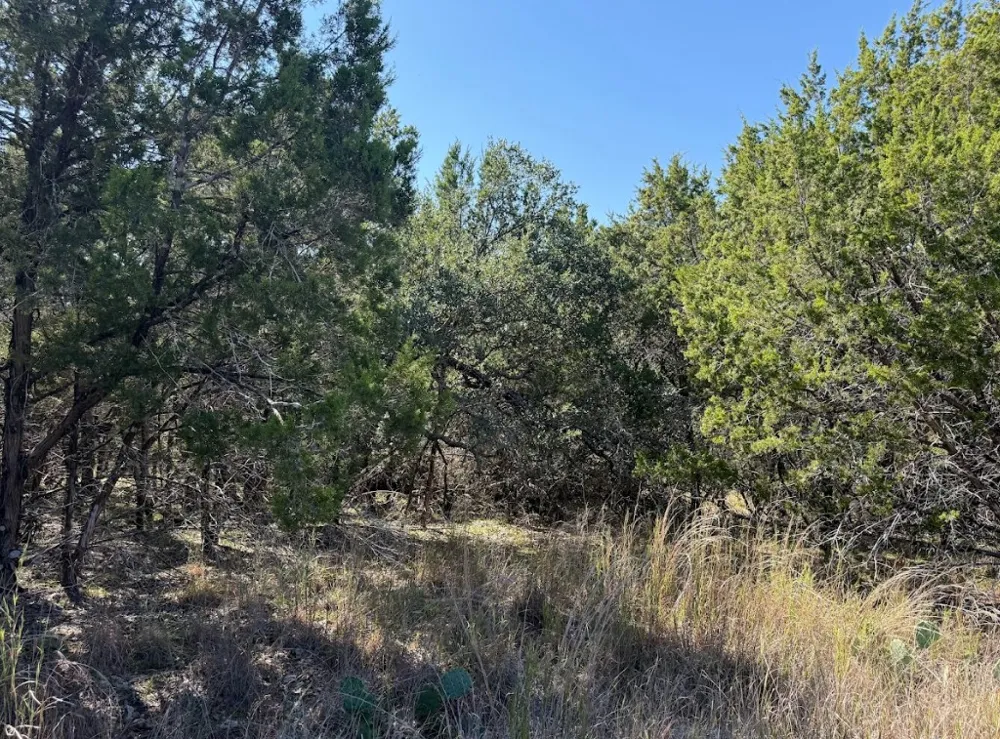 10037 Drew Drop Horseshoe Bay, TX 78657