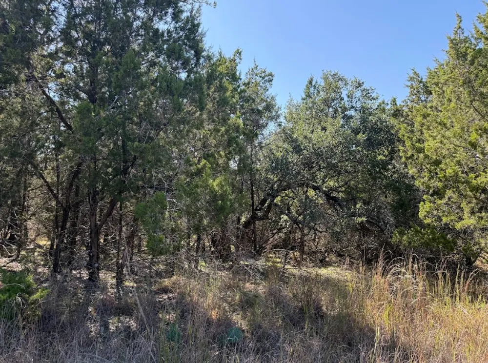 10037 Drew Drop Horseshoe Bay, TX 78657