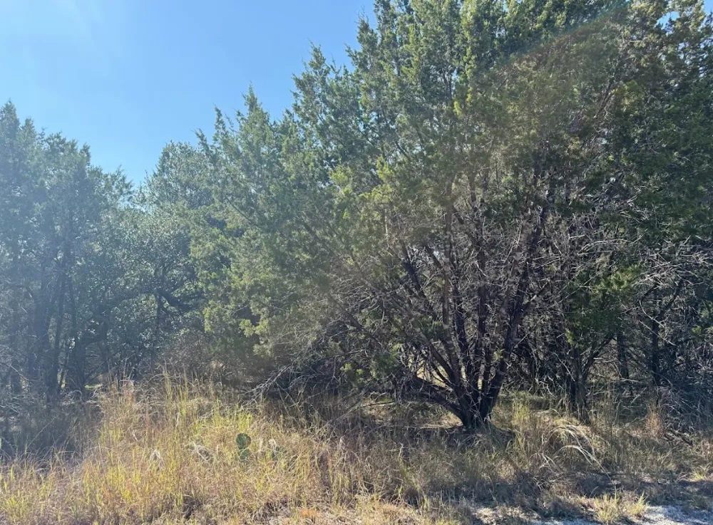 10037 Drew Drop Horseshoe Bay, TX 78657
