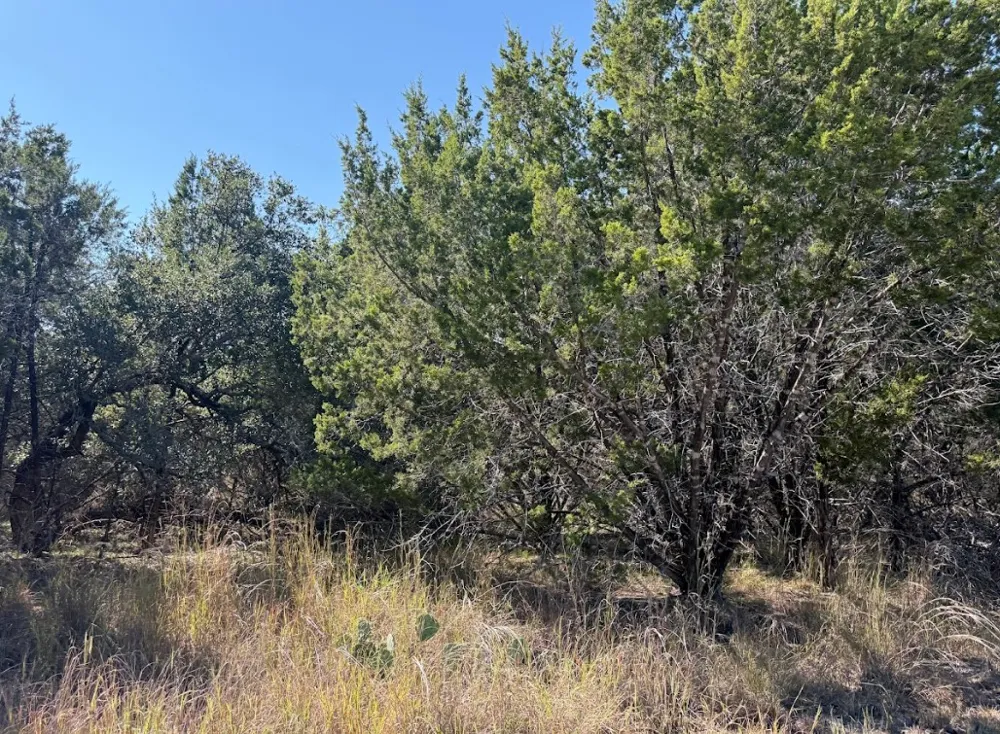 10037 Drew Drop Horseshoe Bay, TX 78657