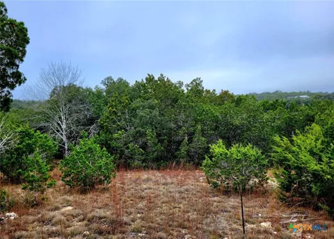 193 Appaloosa Drive