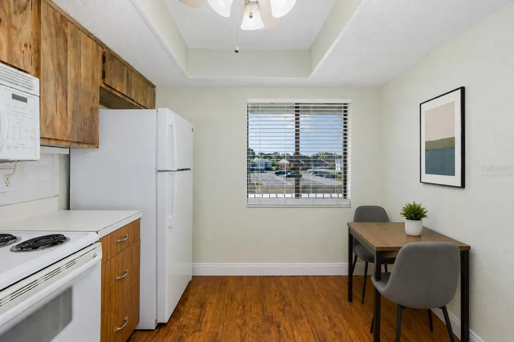 130 NANCY DRIVE #37 Oldsmar, FL 34677