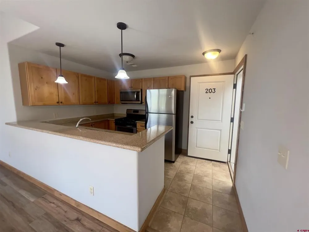 540 Redcliff Circle #E 203 Ridgway, CO 81432