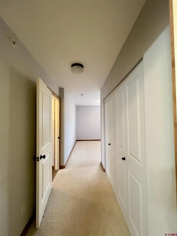 540 Redcliff Circle #E 203 Ridgway, CO 81432