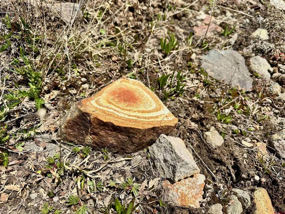 Frank Adams Lode Claim Lake City, CO 81235