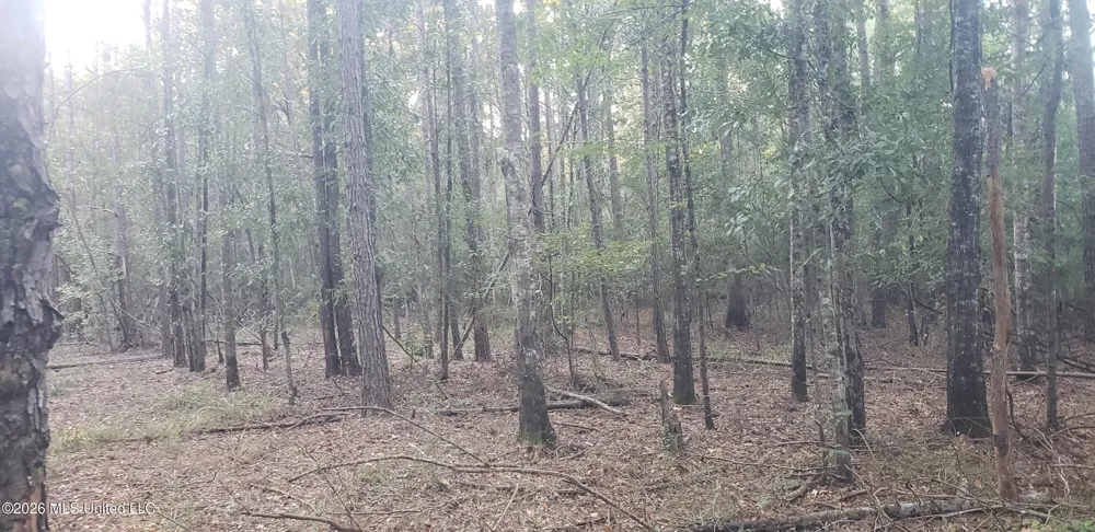 Alden Lane Summit, MS 39666