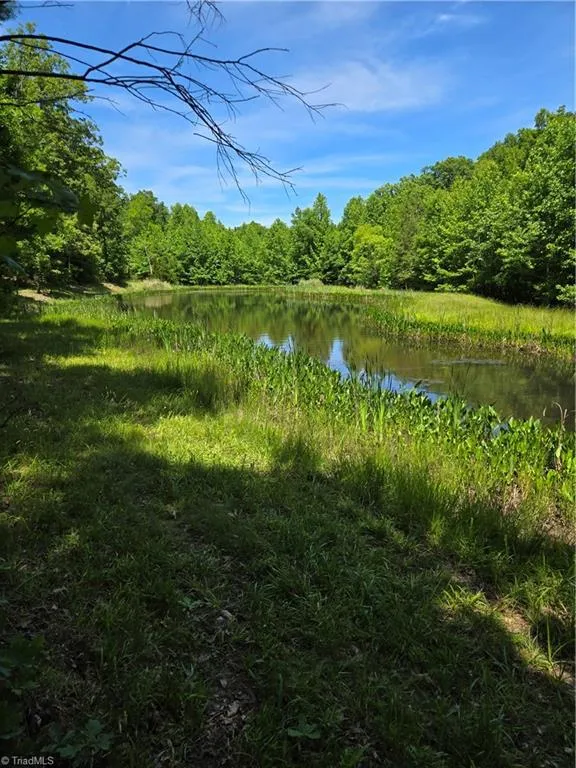335 Healing Springs Drive Denton, NC 27239