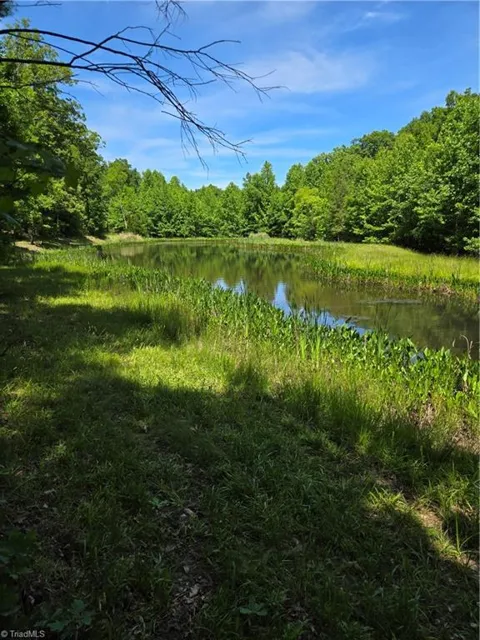 335 Healing Springs Drive