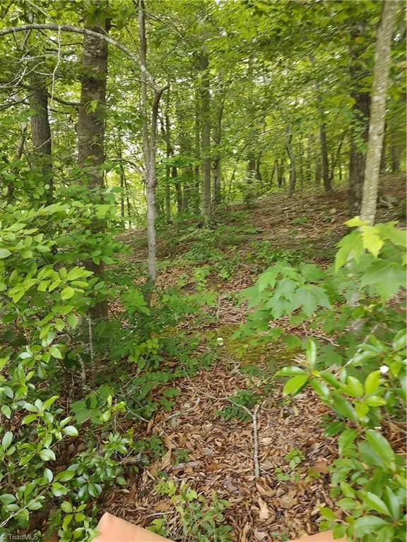 335 Healing Springs Drive Denton, NC 27239