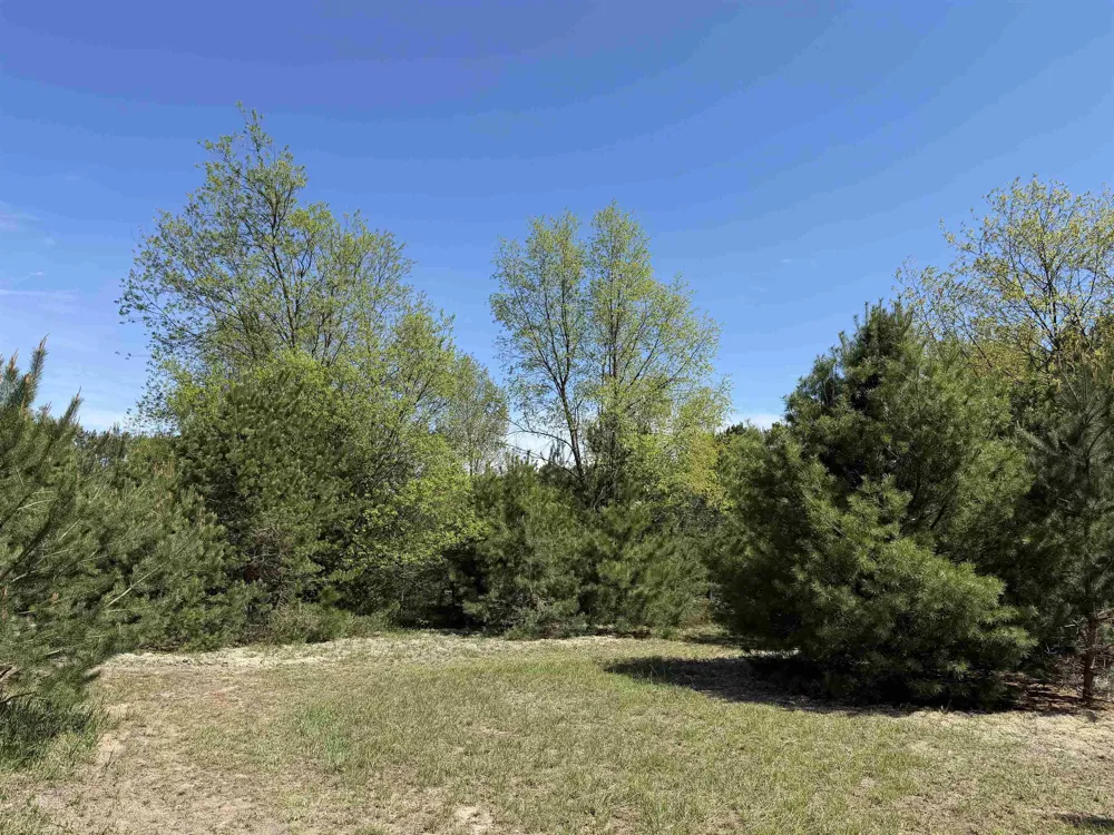 13158 Cinder Road Homestead Township, MI 49617