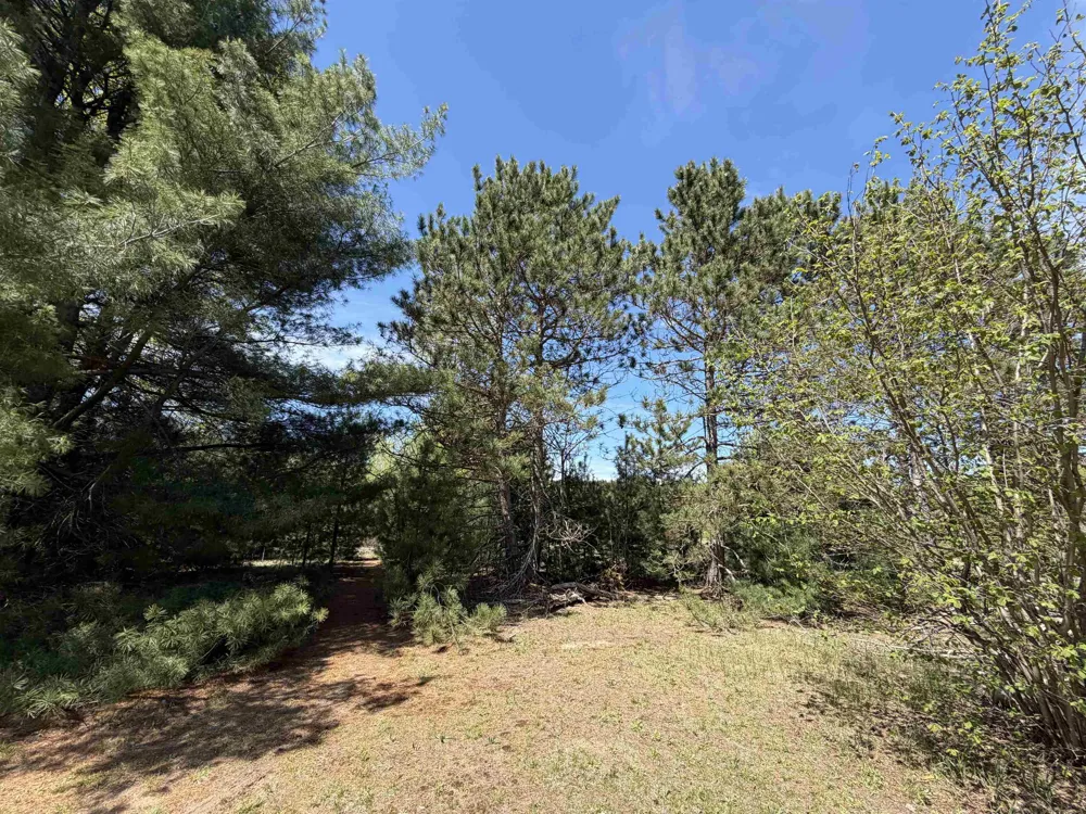 13158 Cinder Road Homestead Township, MI 49617