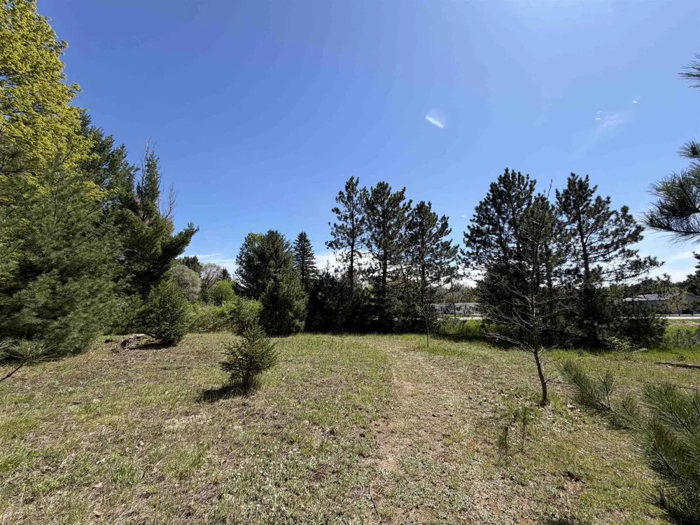 13158 Cinder Road Homestead Township, MI 49617