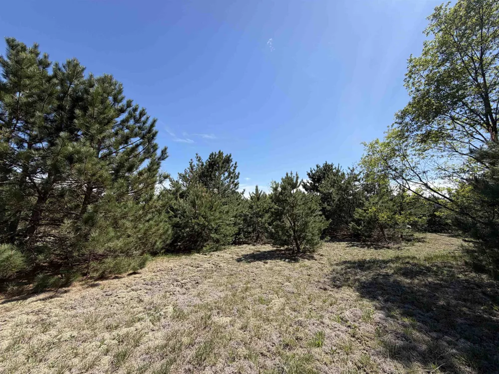 13158 Cinder Road Homestead Township, MI 49617
