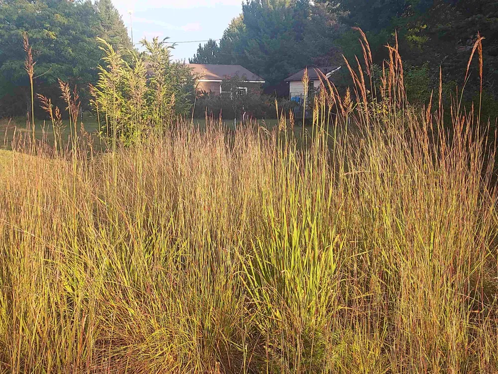 13158 Cinder Road Homestead Township, MI 49617