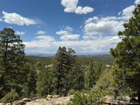 477 Bear Peak Road